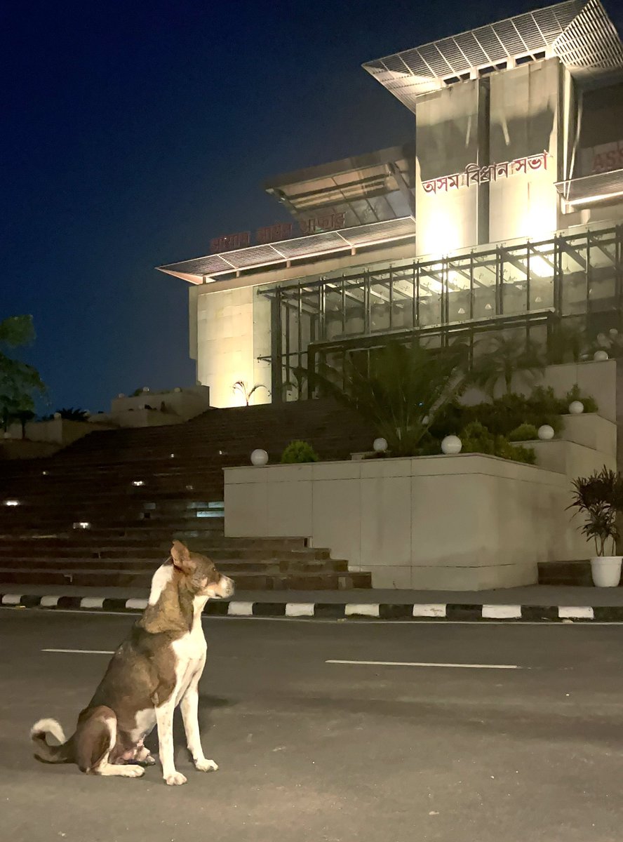 The watchdog in front of the Assam Assembly.