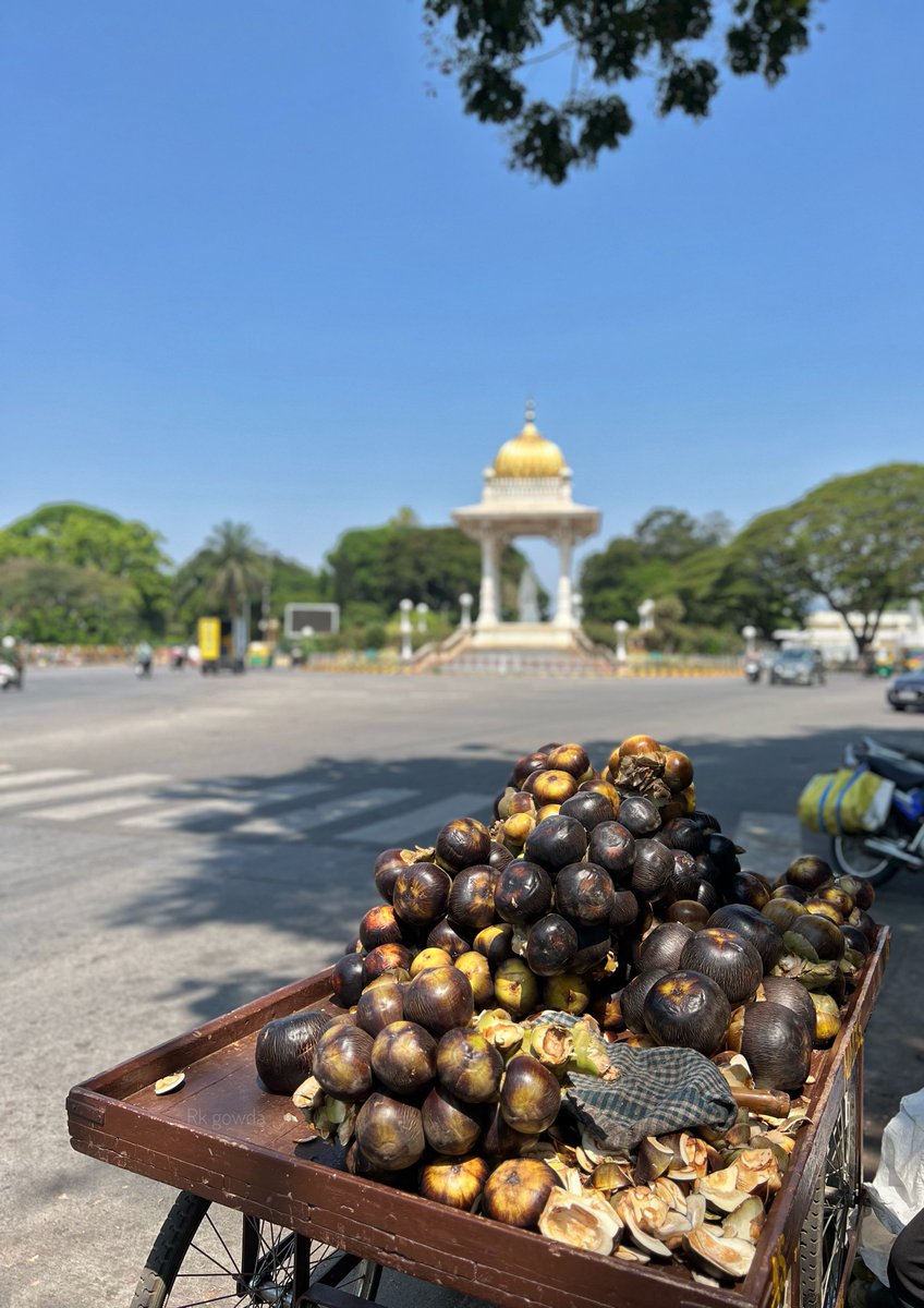 Beat the heat with ತಾಟಿನಿಂಗು 🥵🌞
#Mysuru