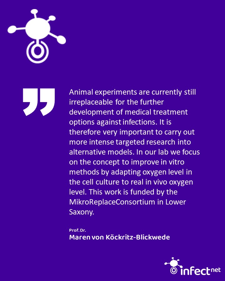 InfectNet's tweet photo. Today is the International day of laboratory animals #LabAnimalDay:
Infect-Net member Maren von Köckritz-Blickwede @mkoeckbl from #TiHo Hannover conducts research to further reduce the use of animal experiments where possible. #LabAnimalDay https://t.co/ZYVSEOiLQT