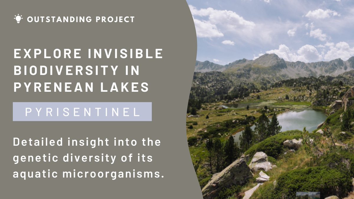 Exciting news from the Pyrenees! ⭐️️ A collaborative effort led by our researcher @MarisolFelip is underway to map the #biodiversity of microorganisms in 300 lakes 🏞️ These invisible communities hold vital clues to how ecosystems adapt to #climatechange 🌍blog.creaf.cat/en/noticies-en…