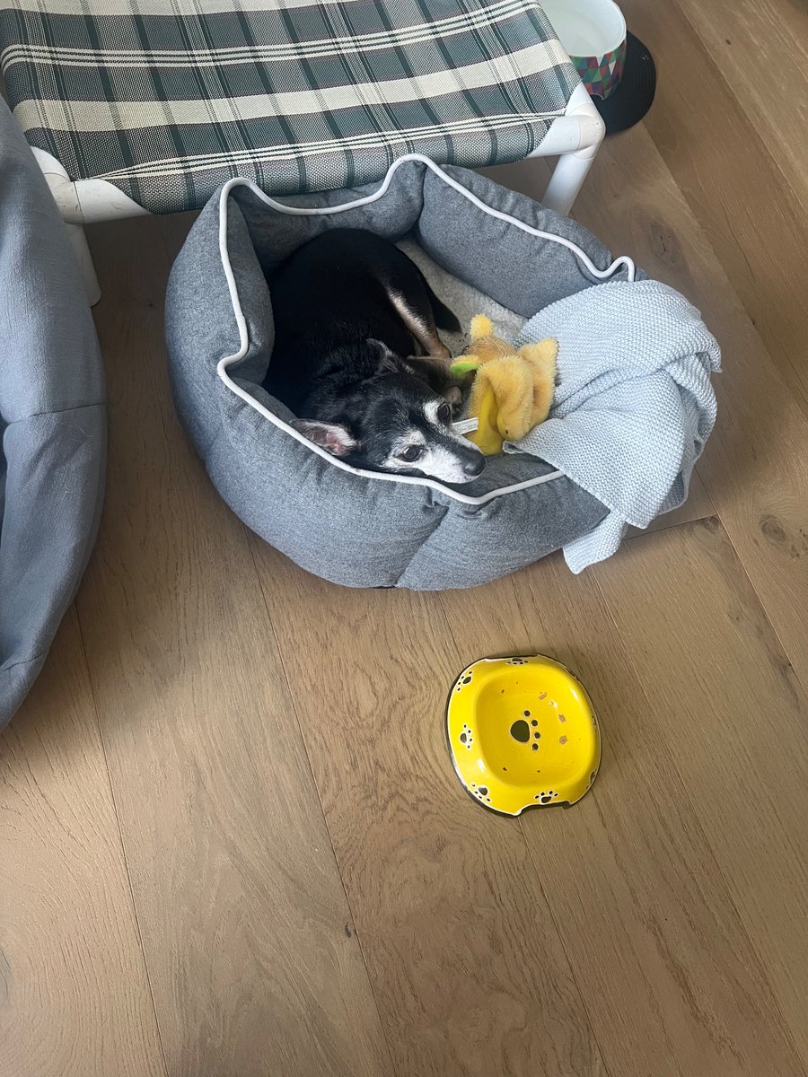 Claire Larsen tweet media