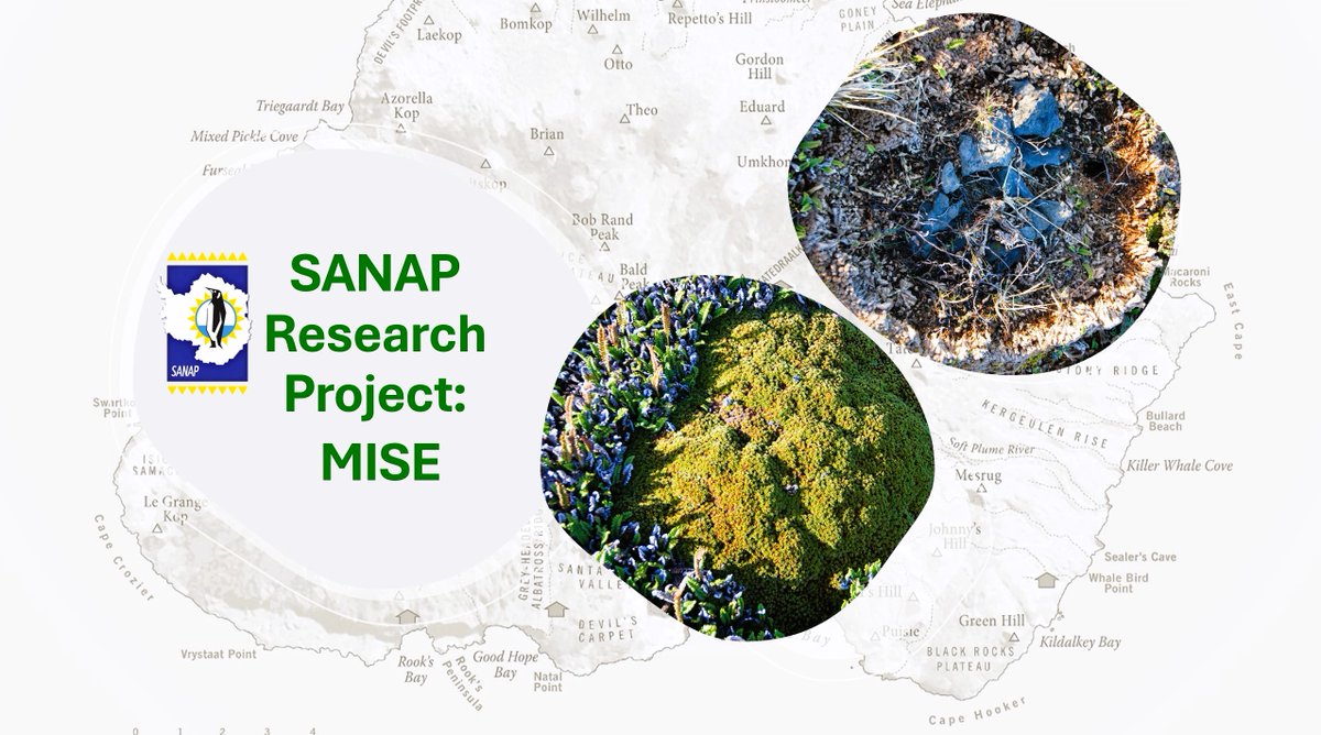 #Marion #TakeOver #research  MISE  Project <a href="/UPTuks/">University of Pretoria</a>  Michele Greve <a href="/UPEcology/">Michelle Greve</a> 
#SANAP @dsigovza <a href="/NRF_News/">National Research Foundation of South Africa</a> <a href="/environmentza/">Environmentza</a> @sapri_dsi 
sanap.ac.za/?p=35322#