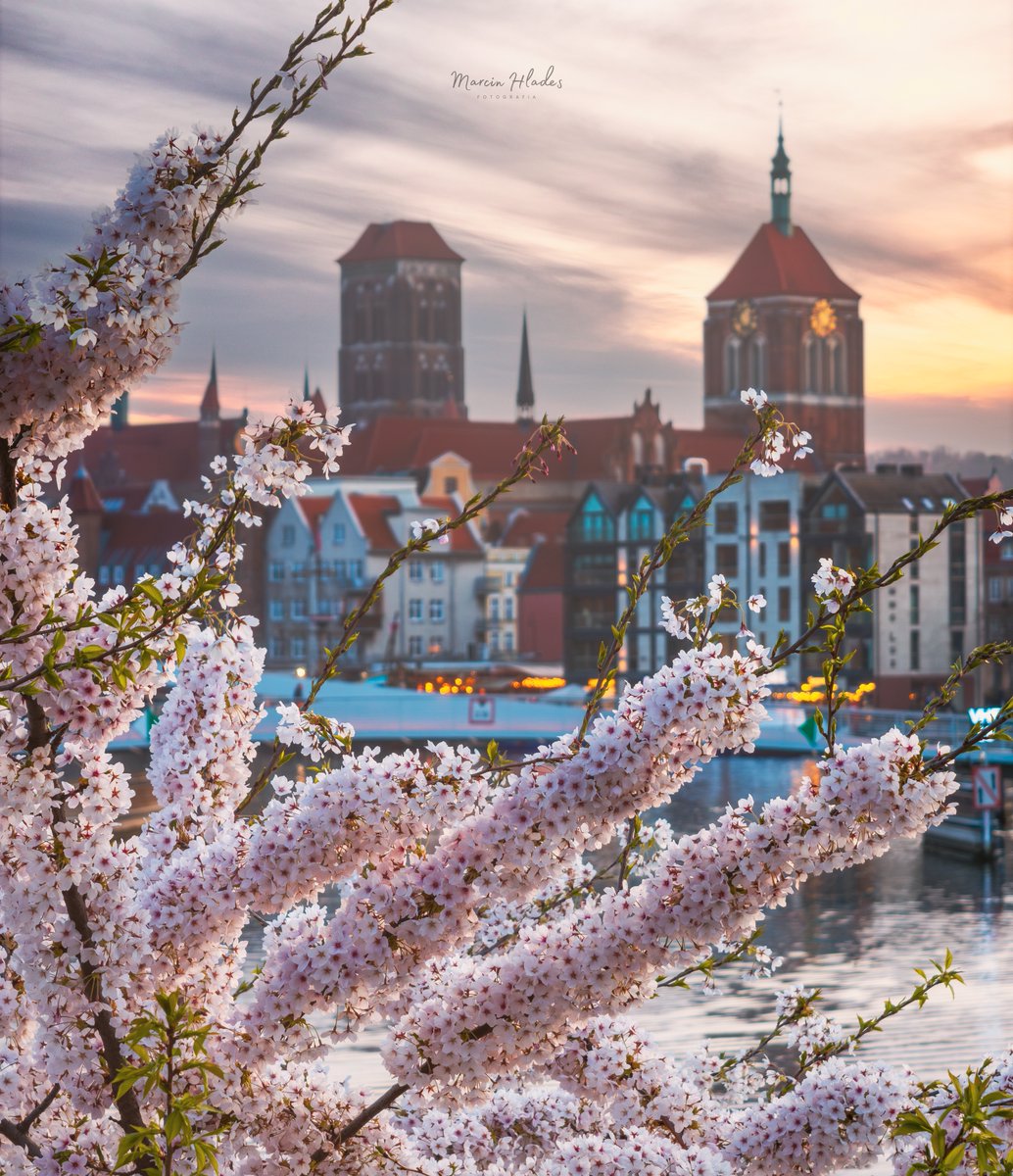 Welcome2Gdansk's tweet photo. 📍@gdansk, Poland              

#gdansk #ilovegdn #welcome2gdansk #poland #city #beautifulview #placestosee #visitgdansk #placestovisit #spring

📷 Marcin Hlades https://t.co/rm0SQF9KMM