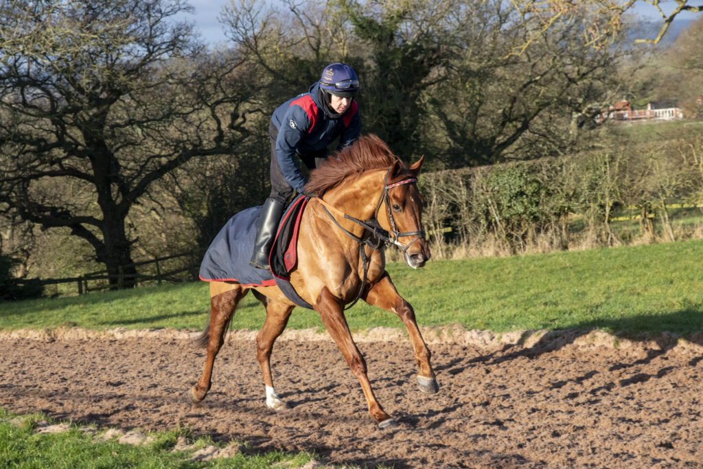 Three runners today Course specialist Tide Times for the DTTW partnership goes @LudlowRaceClub (3.05pm) under @CharlieTodd00 who later rides Six Foot Lap in the @WyeValleyBrew Bumper (5.45) Kojin runs @CatterickRaces under @CliffordleexLee 👉 bit.ly/3iSPA3A