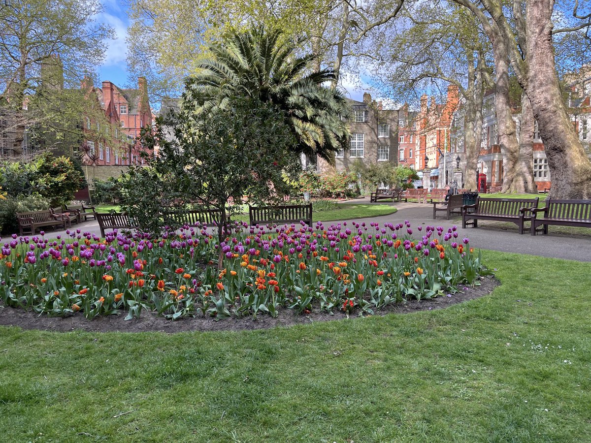 London square in spring
