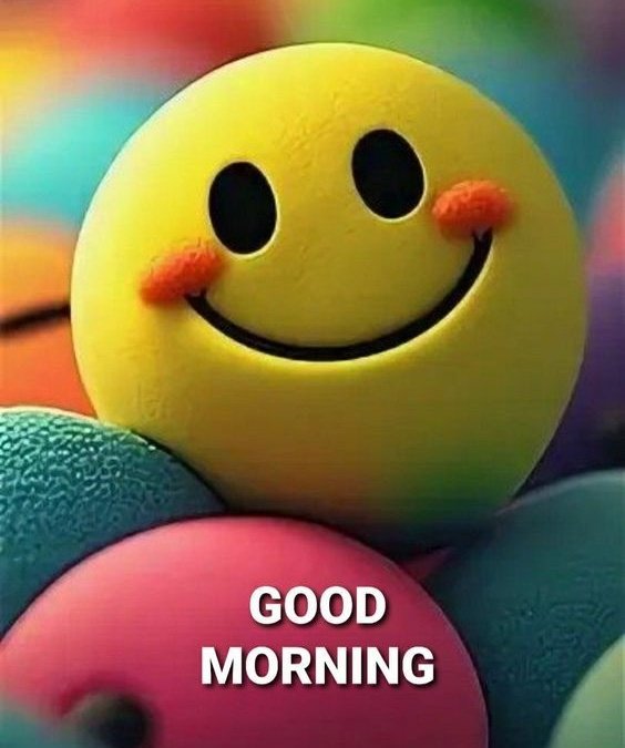 Asslamoalikum
X Family
.
.
Good Morning 
have a good day
stay blessed♥