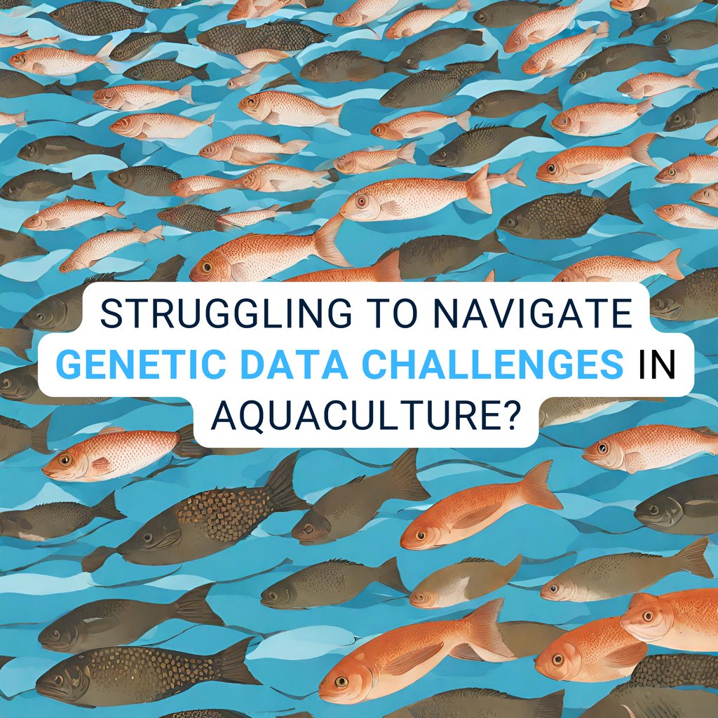 VSN International tweet media