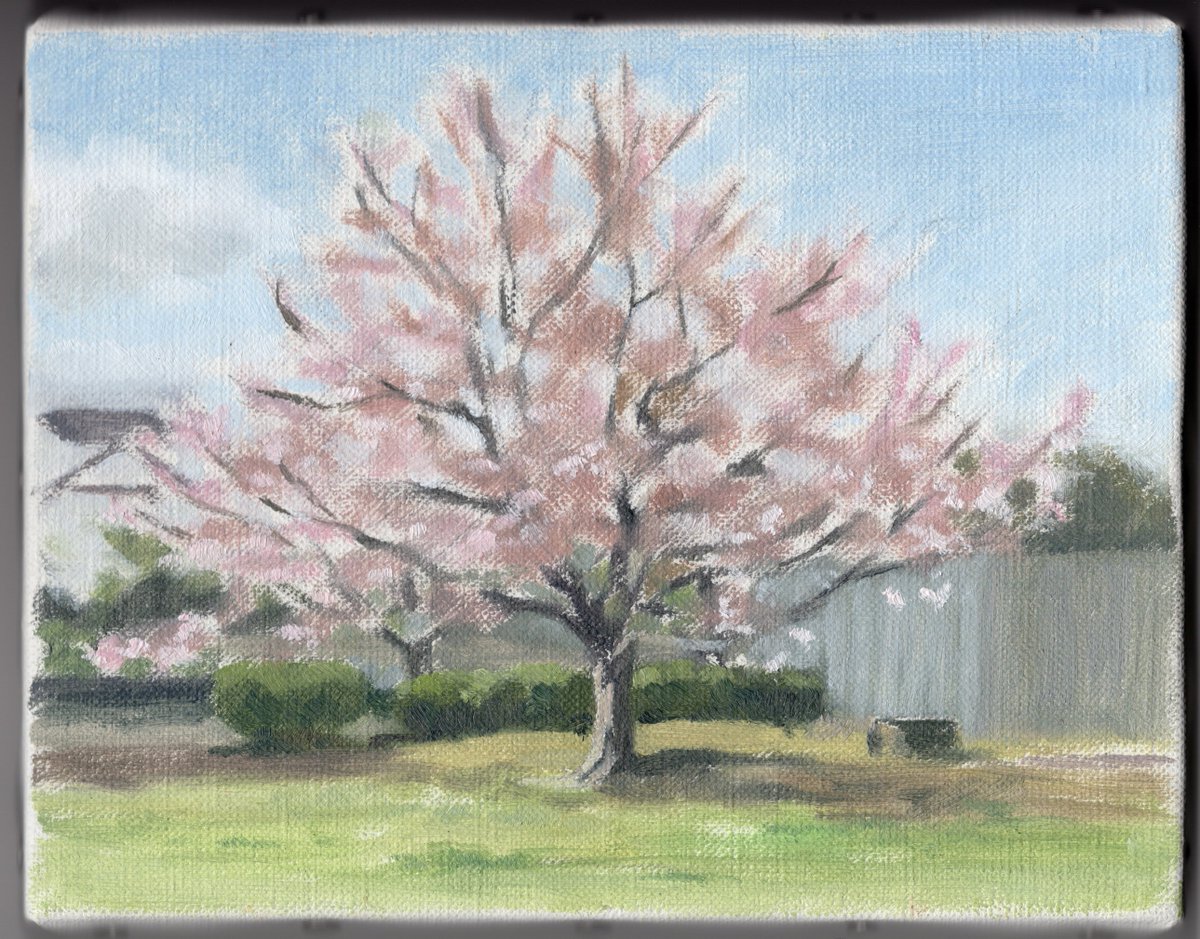 過去作
2021年3月23日のスケッチ。
和田堀公園の桜。
F0サイズの油彩スケッチを継続的に描き始めるようになった最初の一枚です。
春って新しいこと始めたくなる季節だよね。
#油彩画 #風景画