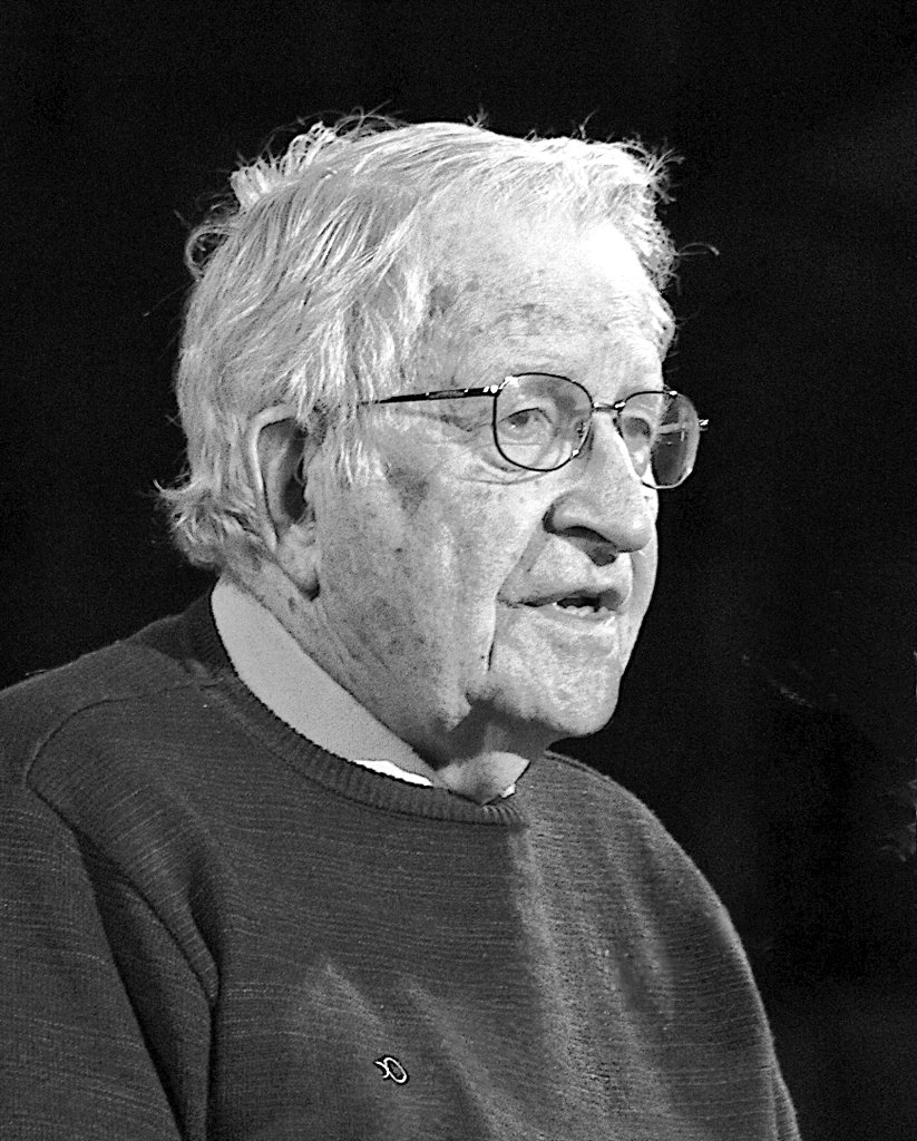 "Educar no es memorizar que Hitler mató a 6 millones de judíos.

La educación es comprender cómo millones de alemanes comunes y corrientes estaban convencidos de que era necesaria.

La educación es aprender a detectar los signos de que la historia se repite."

Mismo Chomsky