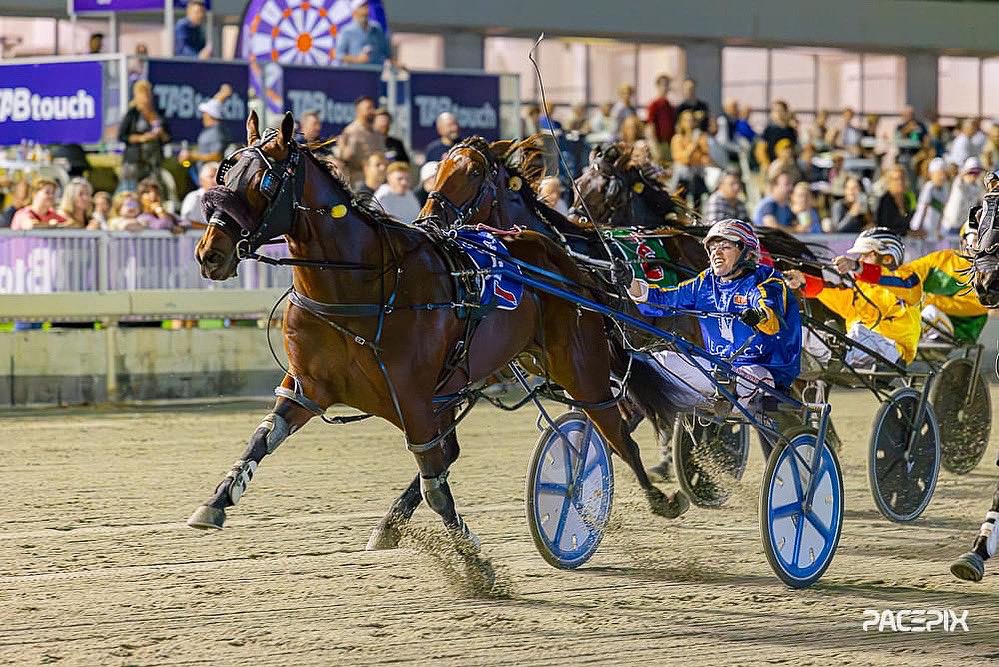 Catch this shot by @NickRyan0004 for us of a huge moment for @GathRacing and @FoodsRegency in the #NullarborSlotRace! #HarnessRacing #LoveTheHorse #TheTrots #Pacepix #GloucesterPark #WAHarness #EntertainmentWithHorsepower