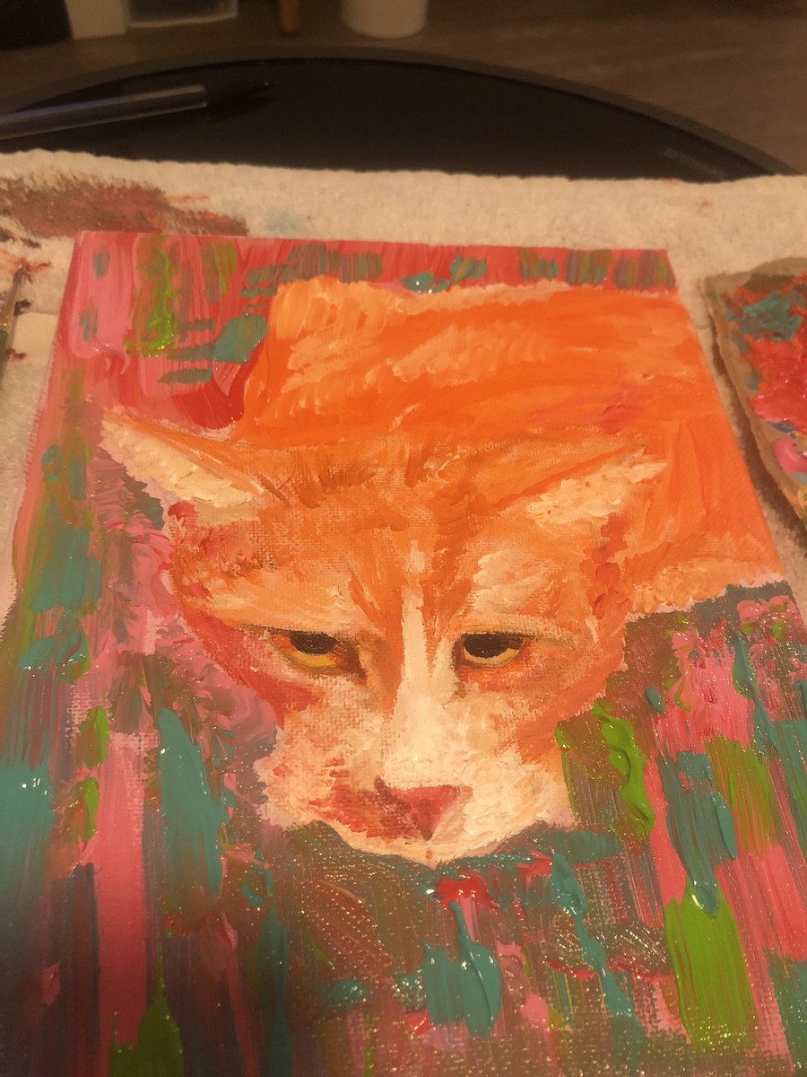 codiecoyote's tweet photo. One of my cat #Mrsketamine https://t.co/tbCHgdwE5M