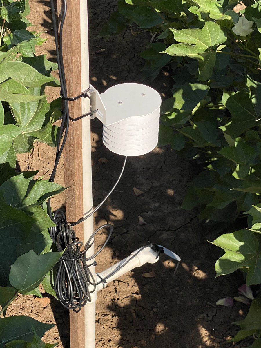 Sarah Nolan-Gorman tweet media