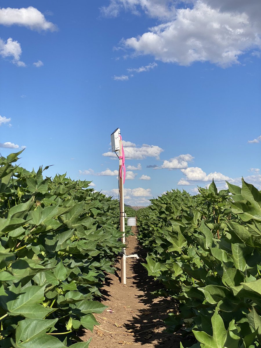 Sarah Nolan-Gorman tweet media