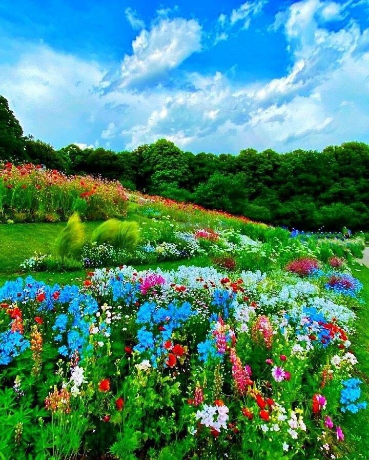 IRfAN RKR (@irfanrkr27) on Twitter photo 