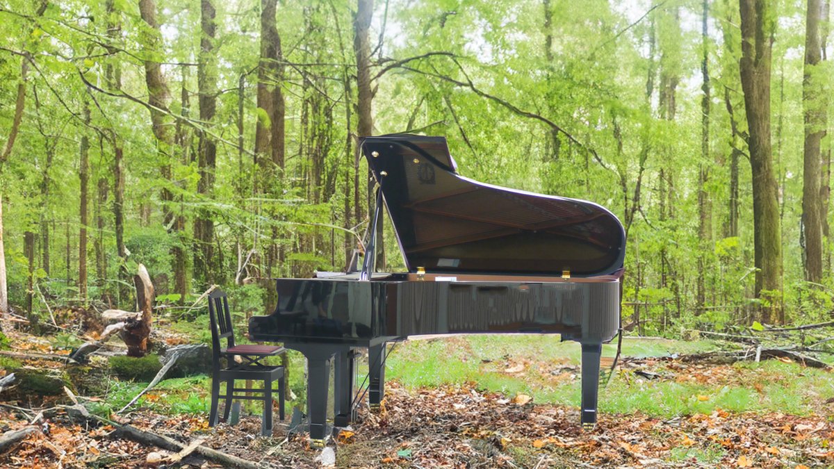 耳がなくても音が聞ける！ というのは植物🪴のお話。植物に音楽を聴かせると良く育つ、という話があります。 それぞれの音楽の周波数によって成長に与える影響は違うようですが、野菜🍅🫑に音楽を聴かせると栄養価が高くなるという結果もあるみたいです。 面白いですね！✨ 今日は #植物学の日…