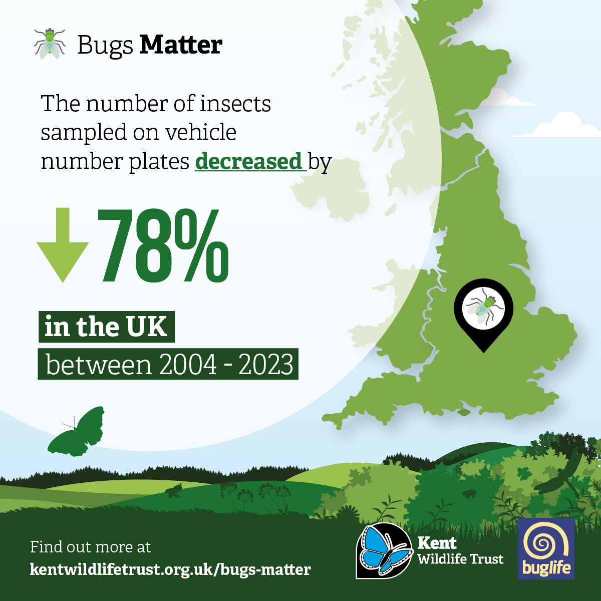 Buzz_dont_tweet's tweet photo. #BugsMatter #CitizenScience survey shows further decreases in UK insect numbers

🪰The troubling extent of #InsectDeclines in the UK has been highlighted once again by the 2023 Bugs Matter citizen science survey published today.

ℹ️ Read the full story 👇
https://t.co/mK2OLlFRPg https://t.co/oxFbM75gXO