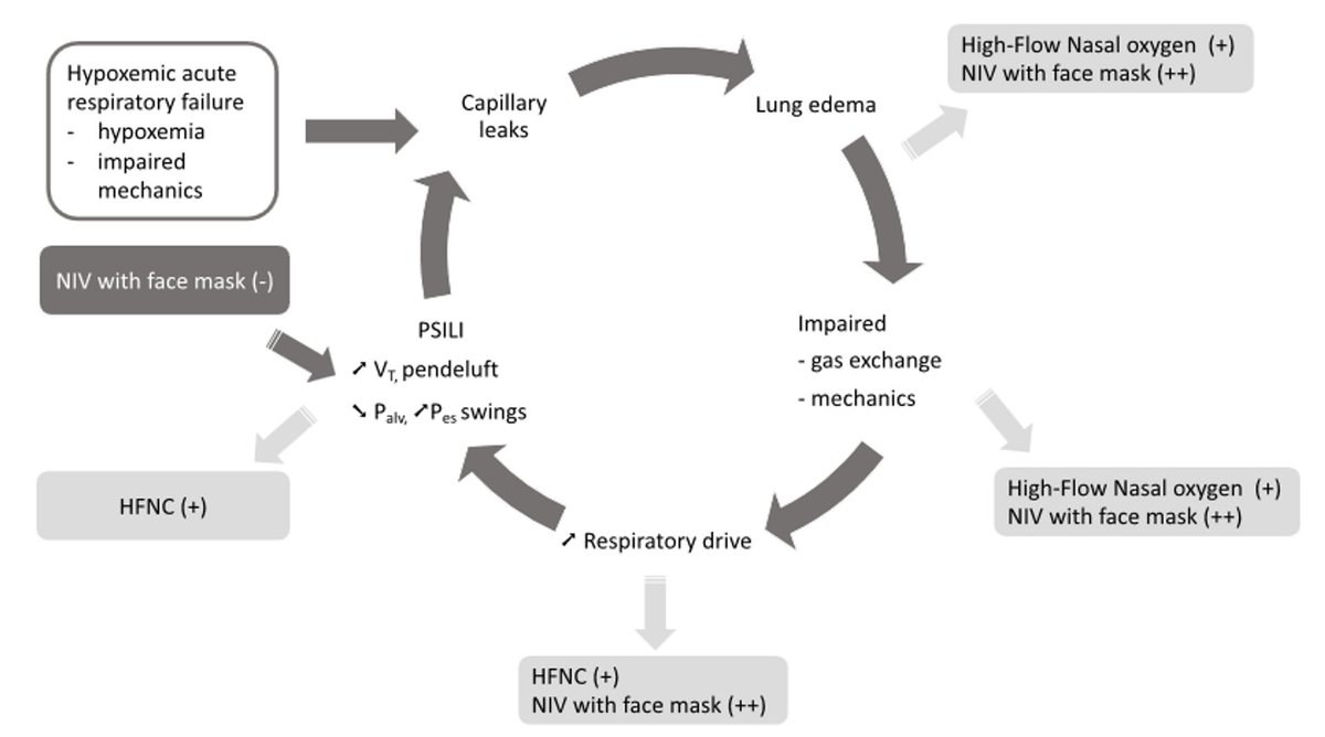 Today's Paper of the Day is on noninvasive oxygenation in patients with acute respiratory failure criticalcarereviews.com/latest-evidenc… Join us to read 1 paper per day and stay up-to-date as we cover the spectrum of critical care across 2024