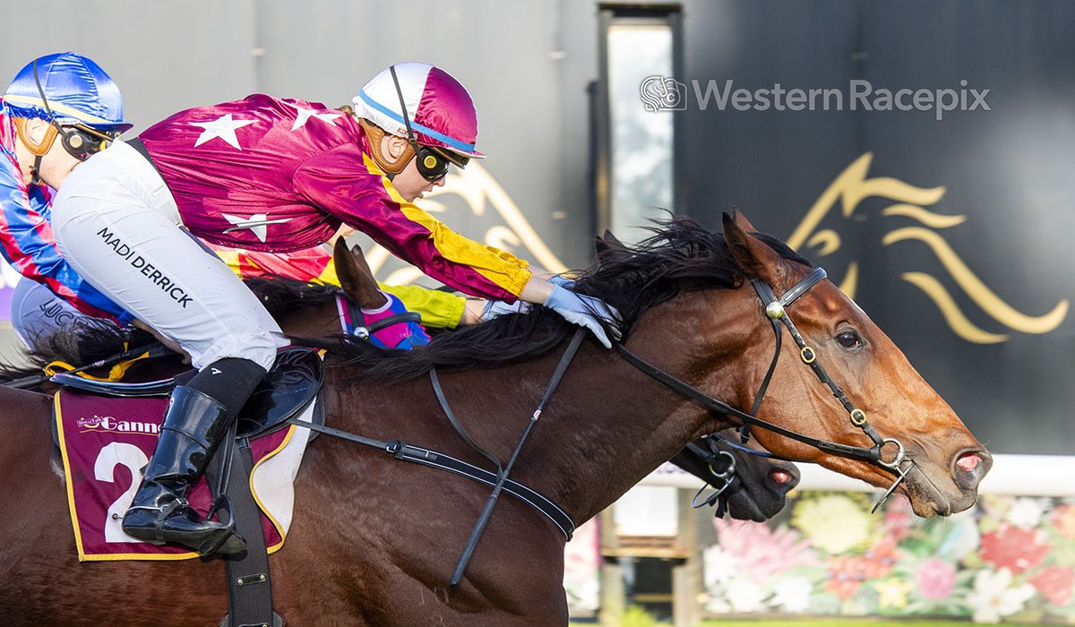 FAT ROY SLIM - Pinjarra Wed 24th April @PinjarraPark #WesternRacepix #WAracing

More 📸 westernracepix.com