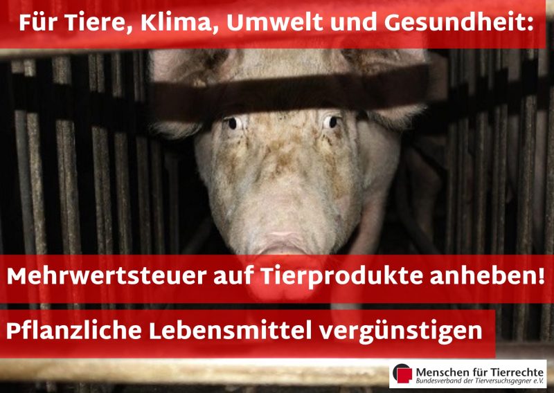 #Umweltbundesamt fordert Reduktion des #Fleischkonsums und der #Tierbestände sowie eine höhere #Mehrwertsteuer auf #tierische Produkte: msn.com/de-de/finanzen…