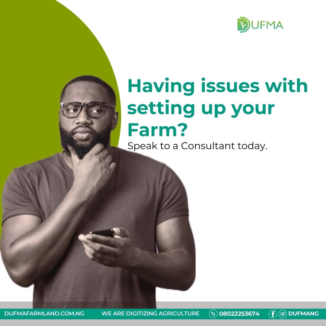 Digicropng's tweet photo. Let's help you set-up your farm.
Kindly send us a message today.
.
.
#farmmanagement
#agriculture #agritech #Dufma #LeadBritishSchool #lautech https://t.co/9vwKSpxkUP