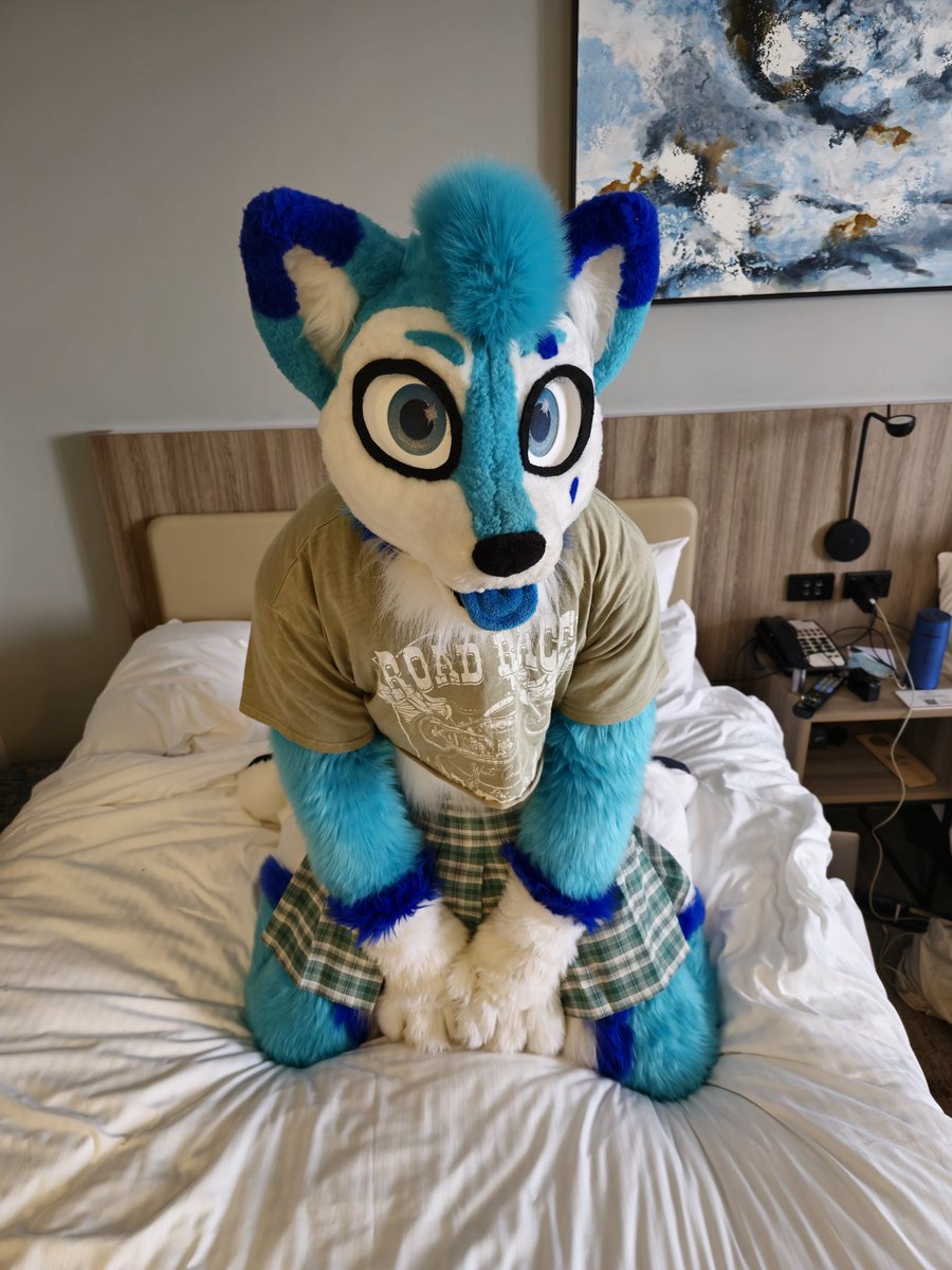 Mikewolf2018 tweet picture