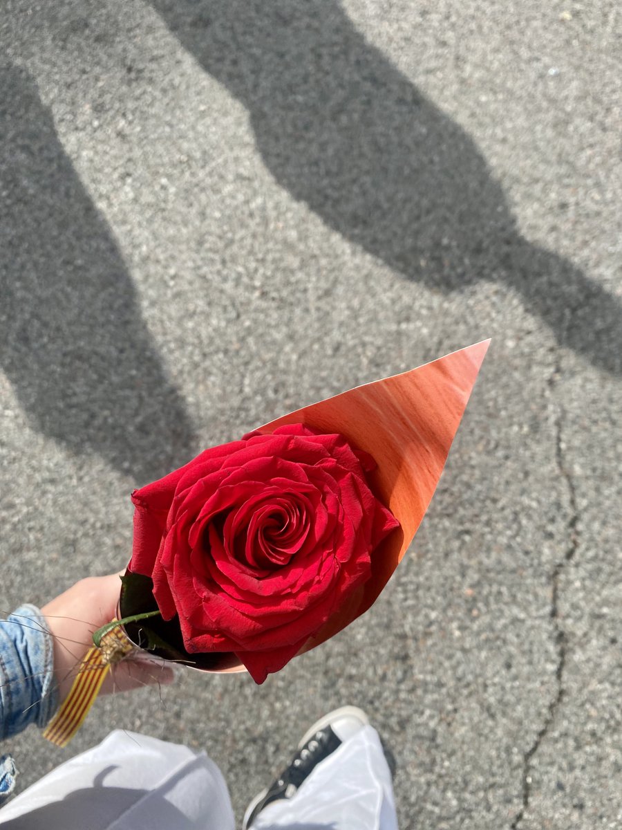 Franciina_'s tweet photo. Massa tendret el dia d’ahir!!🌹❤️ https://t.co/HlyOkxgfEm