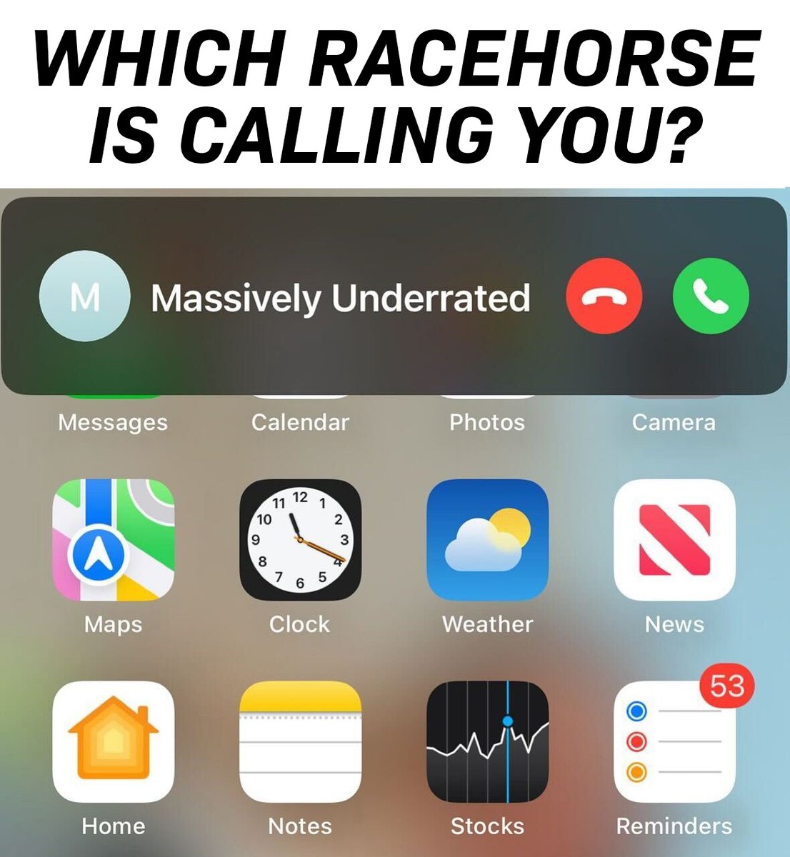 Who are you picking up the phone for...❓📞🐴