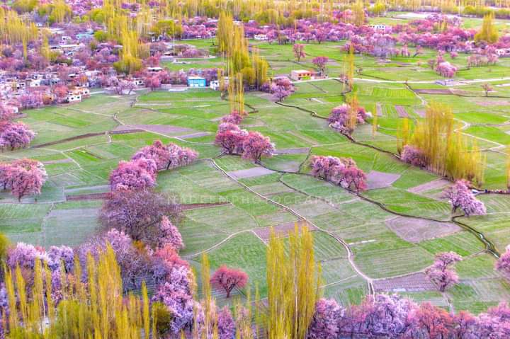 Good afternoon to All X family 🤗🕊

📍 Dhagoni_Valley_Khaplu

#الهلال_العين_ابطال_آسيا #CELINExDANIELLE #AfternoonBriefing #fullvideo