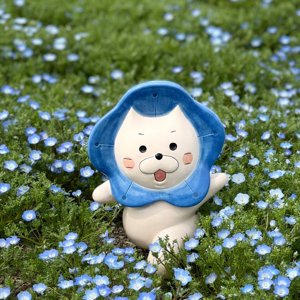 tekoya_official's tweet photo. 舞洲のネモフィラ祭り2024に行ってきました💠
鶴橋粉舗てこや「ヴァリオ株式会社」は「舞洲プロジェクト」OSGの賛助パートナーです✨
スポーツ振興や舞洲の活性化を目指すOSGの活動を応援しています🥎
#舞洲プロジェクト
#てこや #粉舗鶴橋てこや #たこ焼き #お好み焼き #焼きそば
#ネモフィラ祭り2024 https://t.co/uOJUVmyAdd