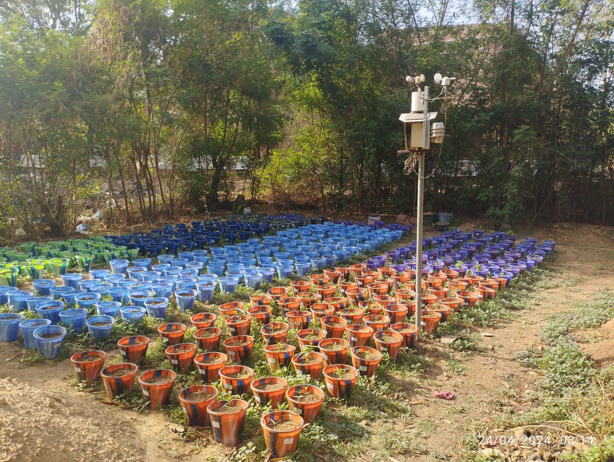 FreeStation collecting data in an experimental field in Burkina Faso
<a href="/FreestationBF/">Freestation Burkina Faso</a>
<a href="/policysupport/">PolicySupport.org</a> 
<a href="/markmulligan/">Mark Mulligan</a>