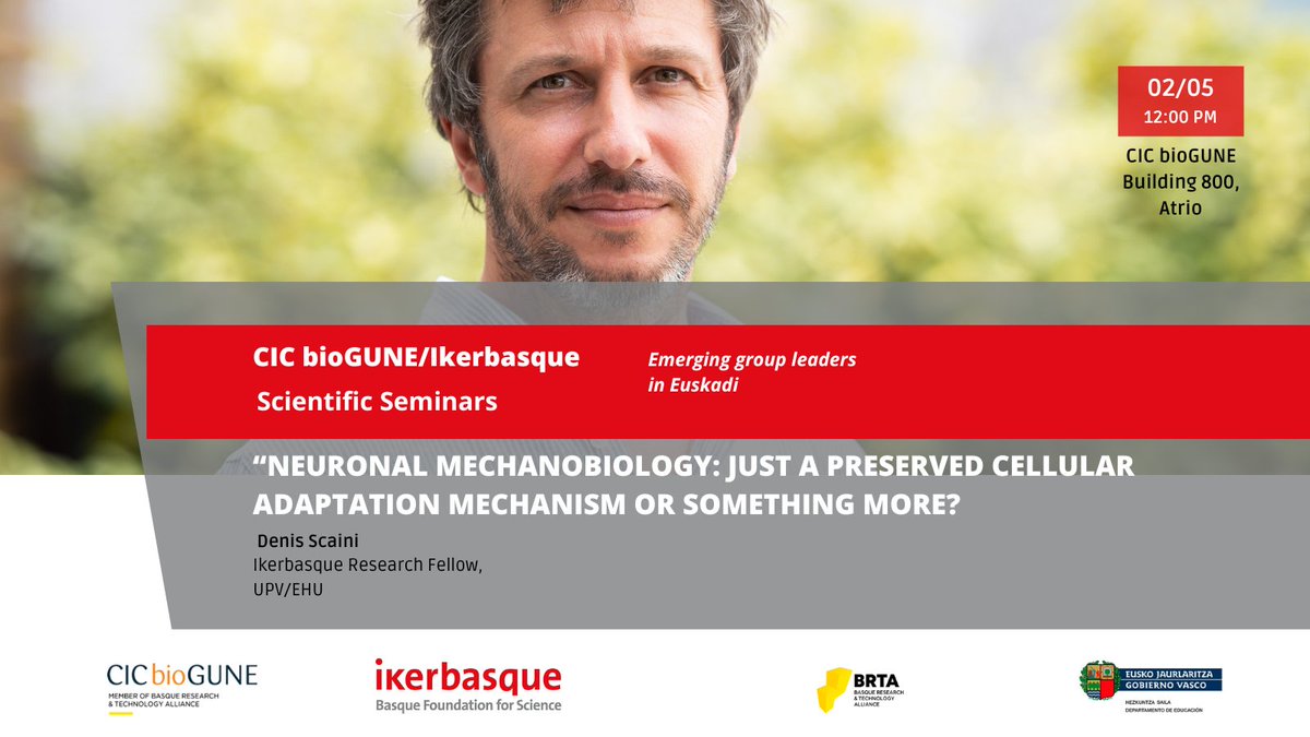 🔴 We are collaborating on the organization of a series of seminars with @CICbioGUNE . Next seminar on Thursday, May 2nd with Denis Scaini, @Ikerbasque researcher at @upvehu 'Neuronal Mechanobiology: Just a Preserved Cellular Adaptation Mechanism or Something More?'
