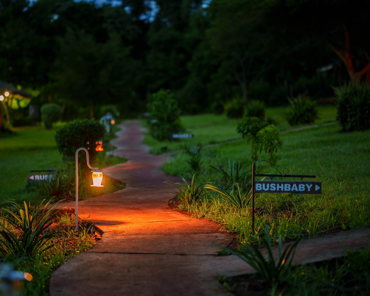 SimbaLodge's tweet image. Karatu Simba Lodge is where you’ll experience the peace and quiet of the Tanzanian countryside. Karatu Simba Lodge has 23 tented camps and is four kilometres off the main road to the entry of the Ngorongoro Conservation Area. nestled rightalongside the Ngorongoro Forest.