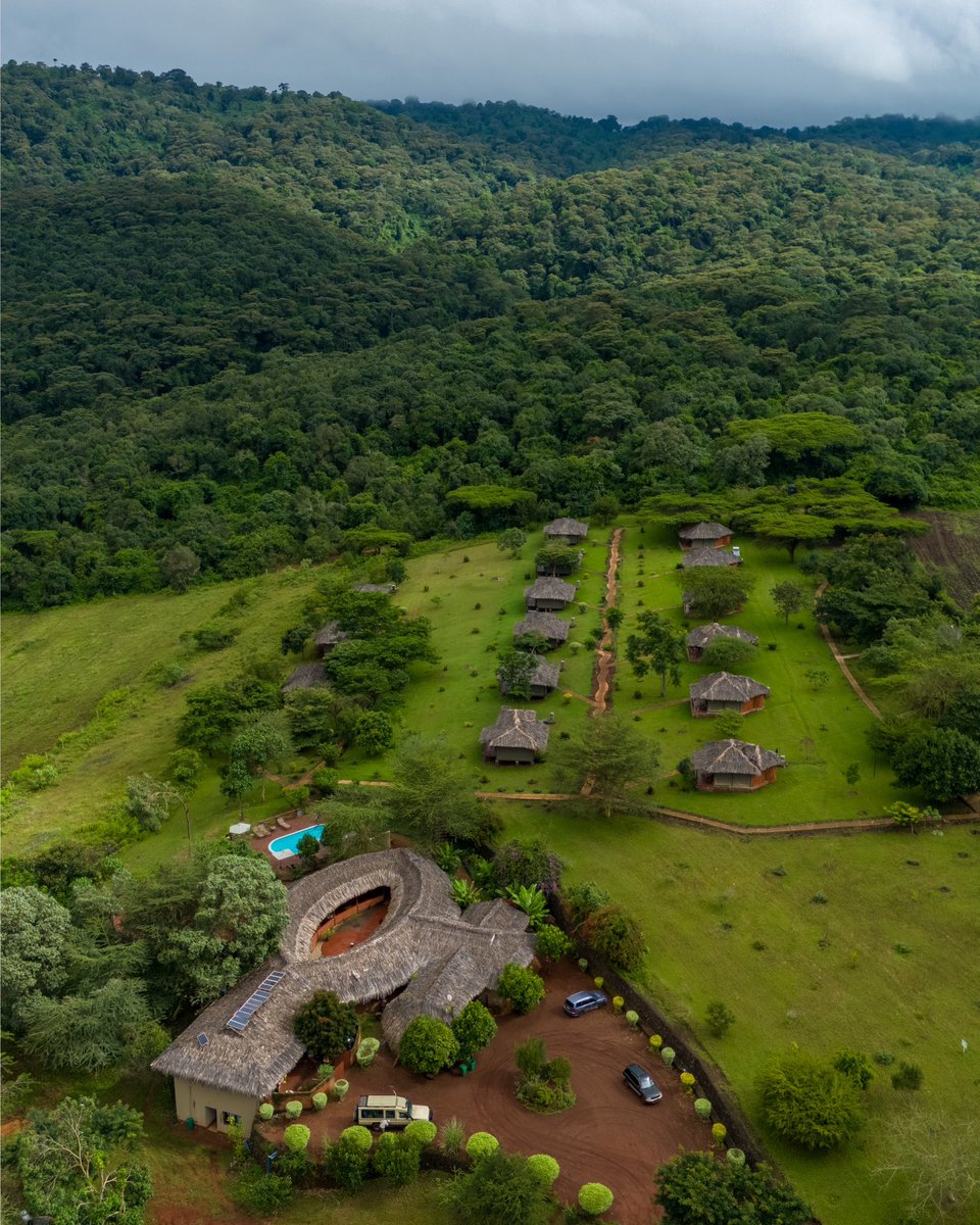 SimbaLodge's tweet image. Karatu Simba Lodge is where you’ll experience the peace and quiet of the Tanzanian countryside. Karatu Simba Lodge has 23 tented camps and is four kilometres off the main road to the entry of the Ngorongoro Conservation Area. nestled rightalongside the Ngorongoro Forest.