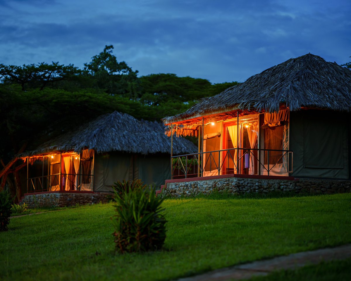SimbaLodge's tweet image. Karatu Simba Lodge is where you’ll experience the peace and quiet of the Tanzanian countryside. Karatu Simba Lodge has 23 tented camps and is four kilometres off the main road to the entry of the Ngorongoro Conservation Area. nestled rightalongside the Ngorongoro Forest.