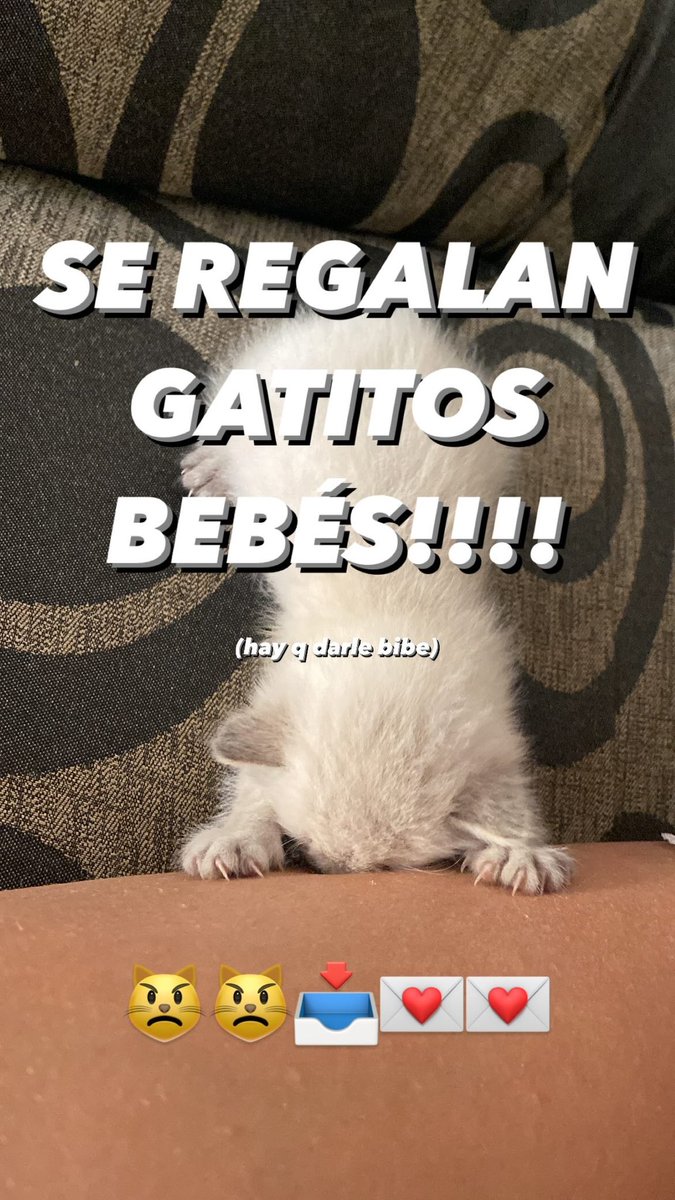aidasannnn's tweet photo. porfiiiiiiiii!!!!!!!    
si no compartes morirá un hada!!!!! https://t.co/HU7u8e4Sco