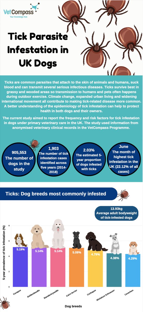 VetCompass tweet media