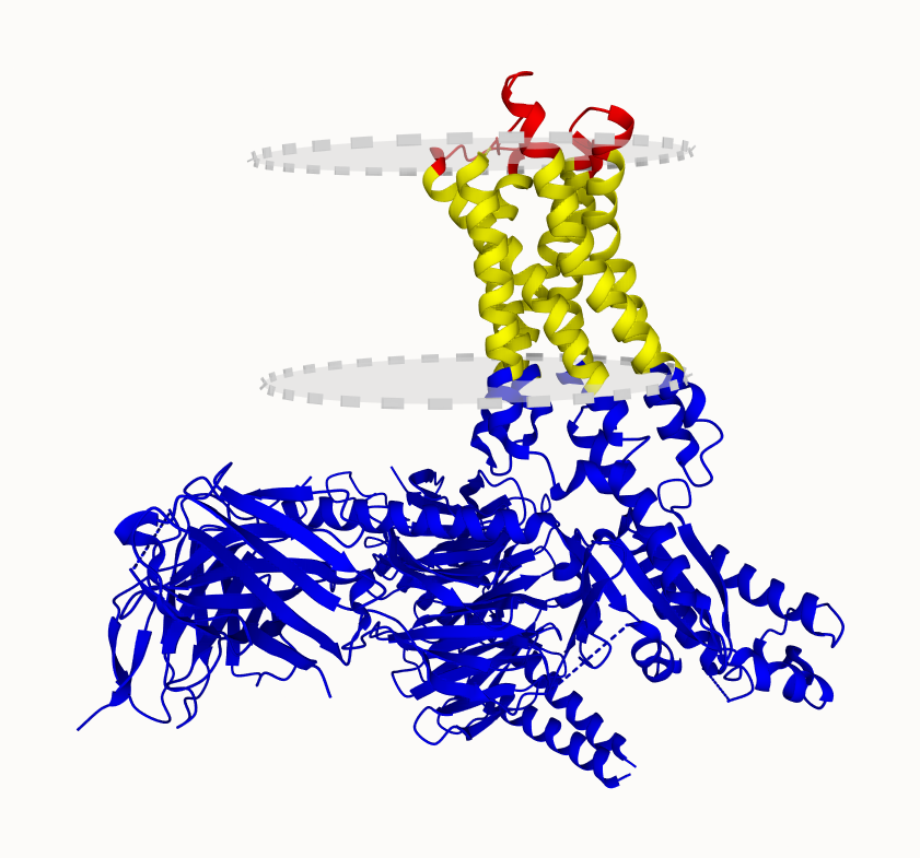 New #membrane #protein in the UniTmp Database: #CryoEM @structure of FFAR2 complex in apo state.

pdbtm.unitmp.org/entry/8j23