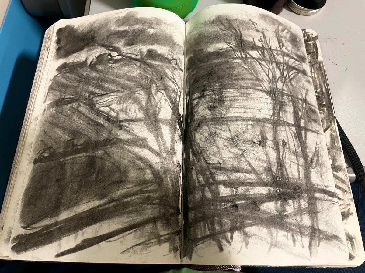 LizAtkin's tweet photo. Sketchbook keeping my hands messily occupied #journeydrawing on the train to London, self care strategies to stop #skinpicking on the go.
#drawingeveryday #BFRB #grief #griefjourney #bodyfocusedrepetitivebehaviour https://t.co/N5fugkMkyS