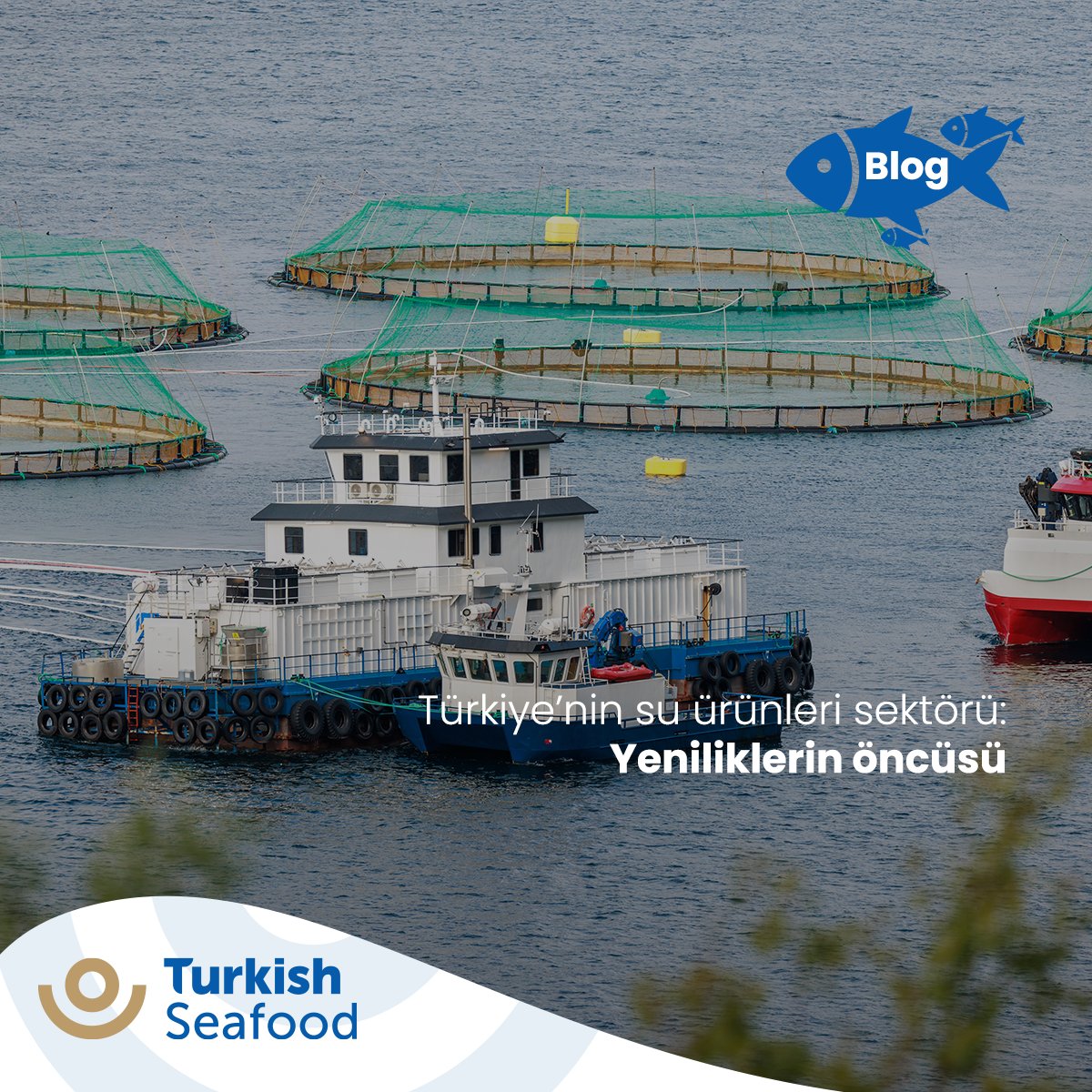 Türkiye’nin su ürünleri sektöründe izlediği sürdürülebilir adımlara değindik.

Aşağıdaki linkten ziyaret edebilirsiniz. ⬇️

We touched upon Türkiye's sustainable steps in the aquaculture sector.

You can visit from the link below. ⬇️

bit.ly/3U7XtoC
