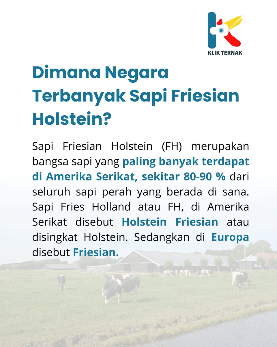Klik Ternak tweet media