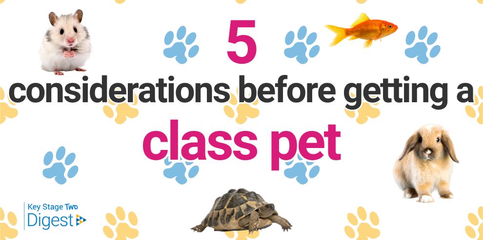 KS2 Digest explores the questions around class #pets
for #NationalPetMonth 🐶🐱🐹🐰

#teachersoftwitter #edunews #schools #primaryeducations #teachers 

twinkl.co.uk/l/ihqco