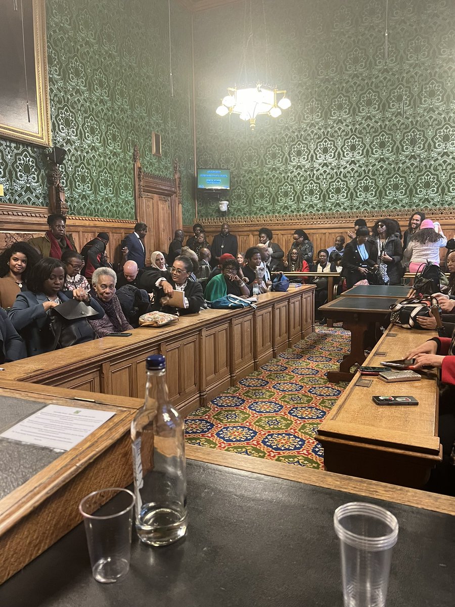 Our Founder speaking at Parliament for the @appg_ar on the reparations in the wellbeing space via racial wellness through Zuri Therapy. She also spoke at her time at the UN Permanent Forum for people of African Descent. Hosted by @BellRibeiroAddy.
