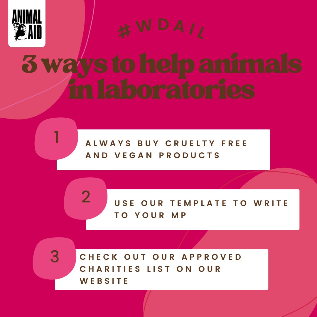 Animal experiments are cruel and unreliable. Here are 3 ways to help the animals stuck in labs this #WorldDayforAnimalsInLaboratories Check out our LinkTree and website for the latest actions and resources. #WDAIL #EndAnimalExperiments #BetterScience