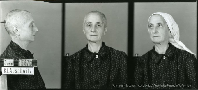 24 April 1881 | A Czech Jewish woman, Kamila Kling, was born in Loštice. In #Auschwitz from 8 August 1942 No. 15673 Date of death: 29 September 1942.