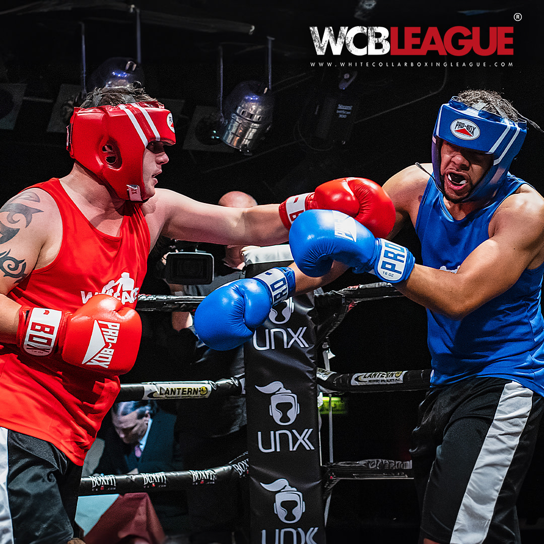 White Collar Boxing League tweet media