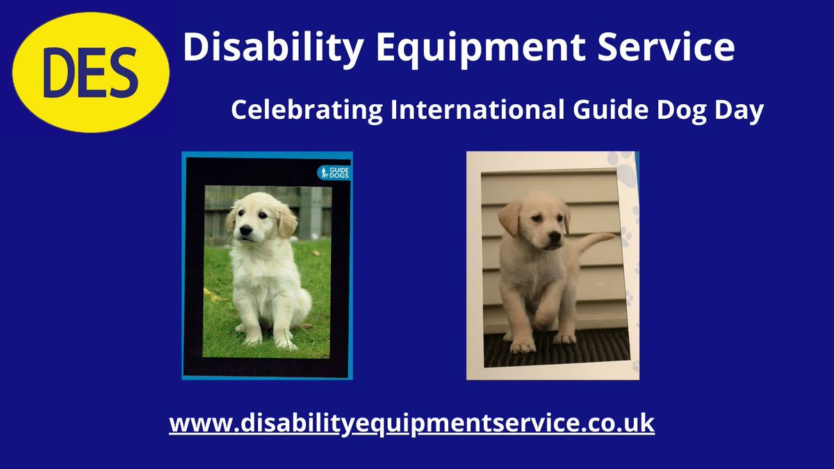 DES team tweet media