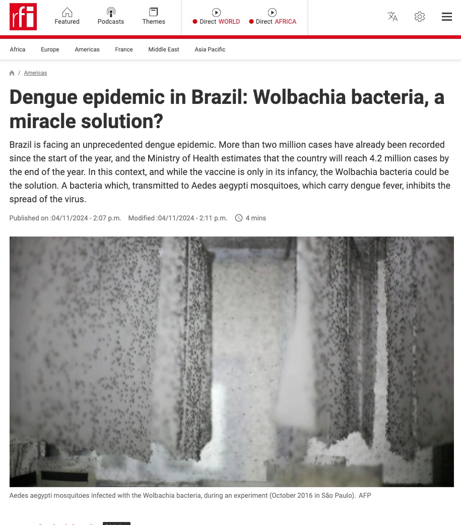 Exciting coverage by @SarahCozzolino on @RFI about how our Wolbachia method might be the answer to Brazil's #dengue crisis. Our work is turning the tide against the epidemic, one #mosquito at a time! Read the full feature here: ow.ly/XrAW50RjXkR #WeWelcomeWolbachia