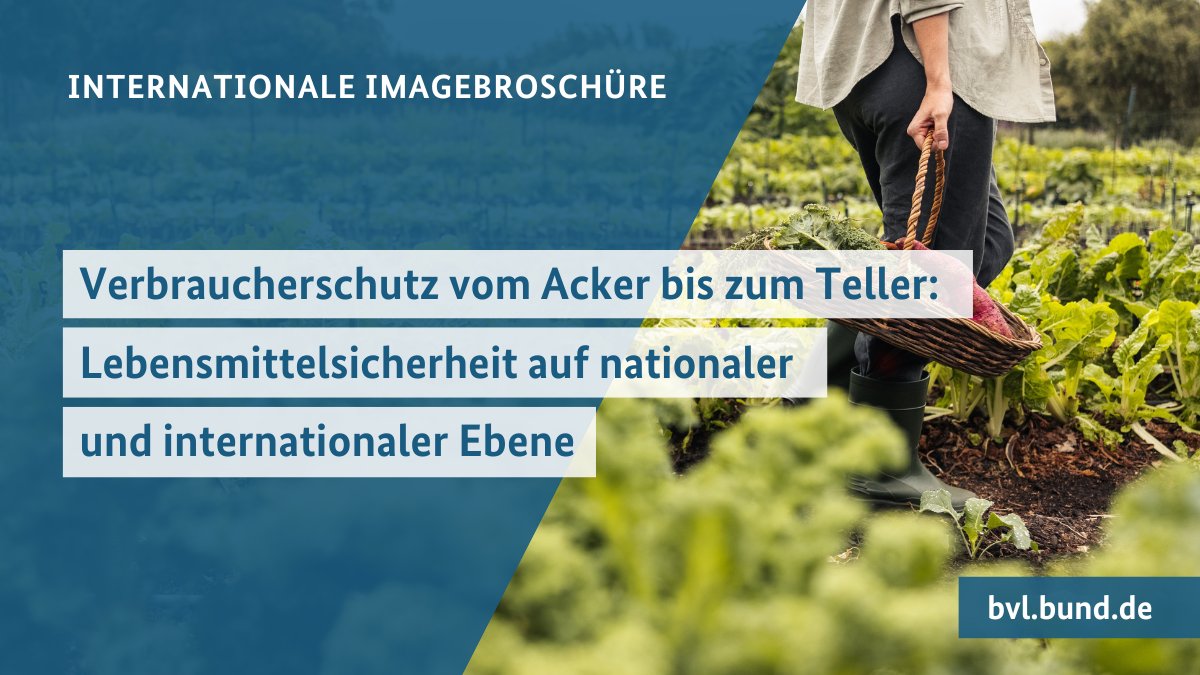 Sichere Lebensmittel in Deutschland, Europa und weltweit – in unserer neuen internationalen Imagebroschüre erfahren Sie, wie wir uns jeden Tag mit ganzer Kraft für  #Verbraucherschutz und #Lebensmittelsicherheit einsetzen.
🔗 sohub.io/y19h
(ENGLISH)