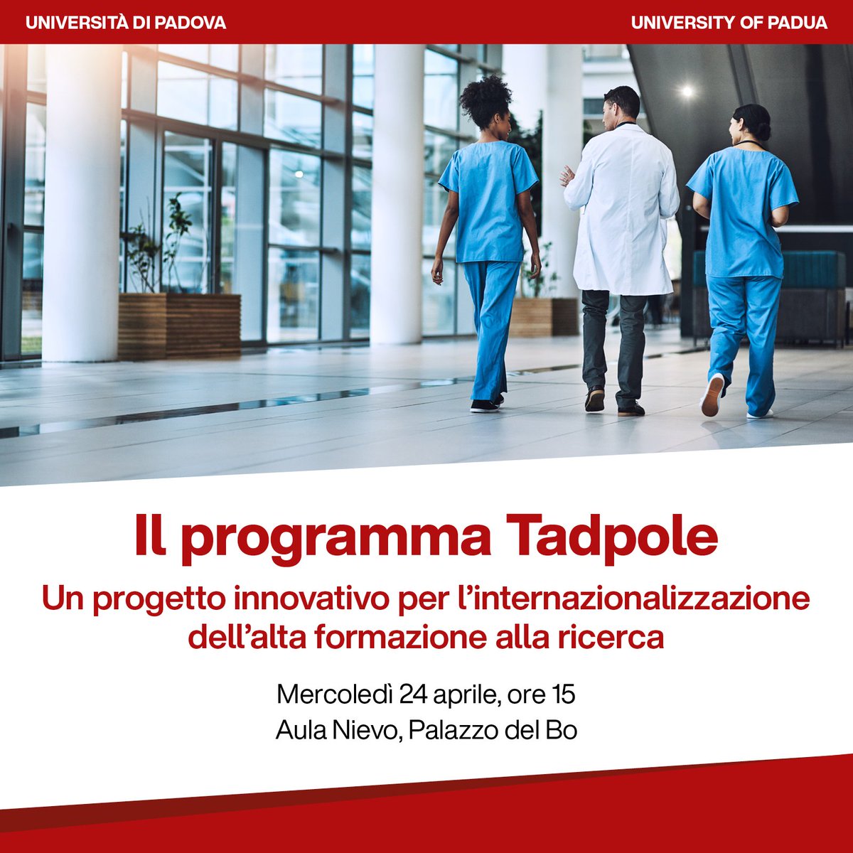 🐸 With Tadpole, structured medical staff from foreign countries can enrol on a PhD course and participate in Unipd training and research activities. Find out more at our presentation on 24 April at Palazzo Bo or via streaming. > unipd.link/tadpole-intern…