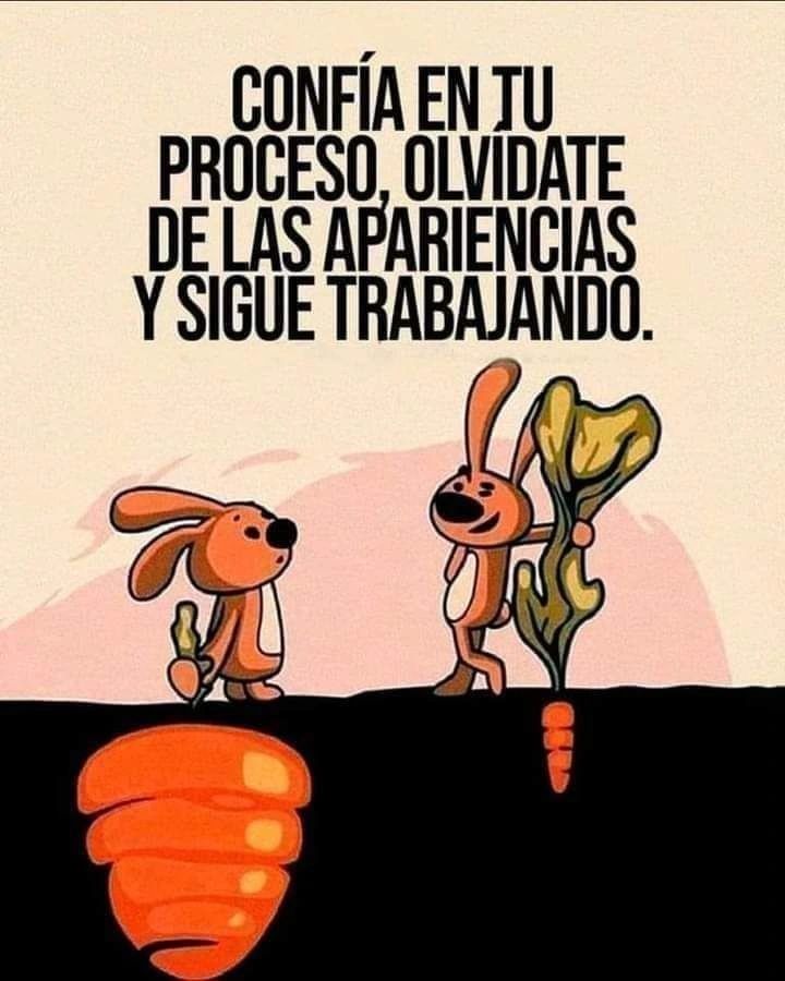 Confía en tu proceso, olvídate de las apariencias y sigue trabajando!! #FelizMiércoles #BuenosDias